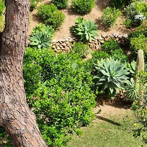 https://a-little-paradise-right-on-the-beach.1costadelsol.com